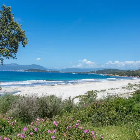 Superbe 3 Avec Grande Terrasse Apartamento Pietrosella