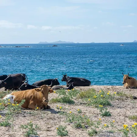 Apartamento Superbe 3 Avec Grande Terrasse Pietrosella