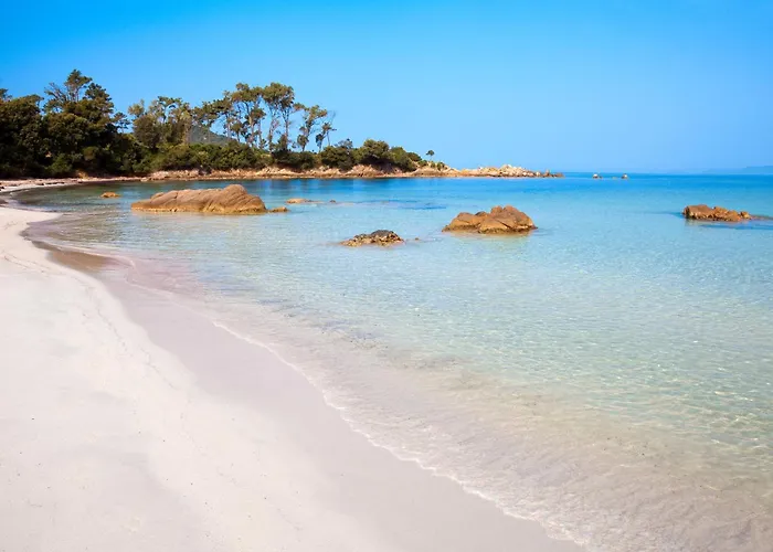 Superbe 3 Avec Grande Terrasse Daire *