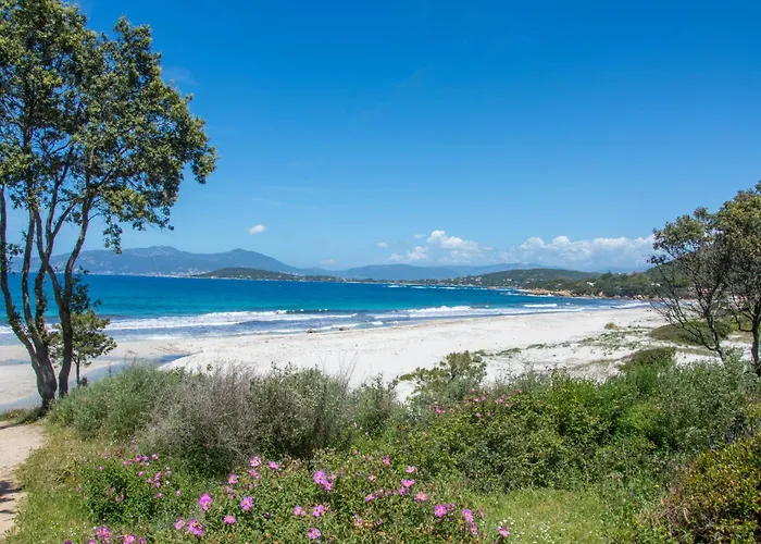 Superbe 3 Avec Grande Terrasse דירה Pietrosella