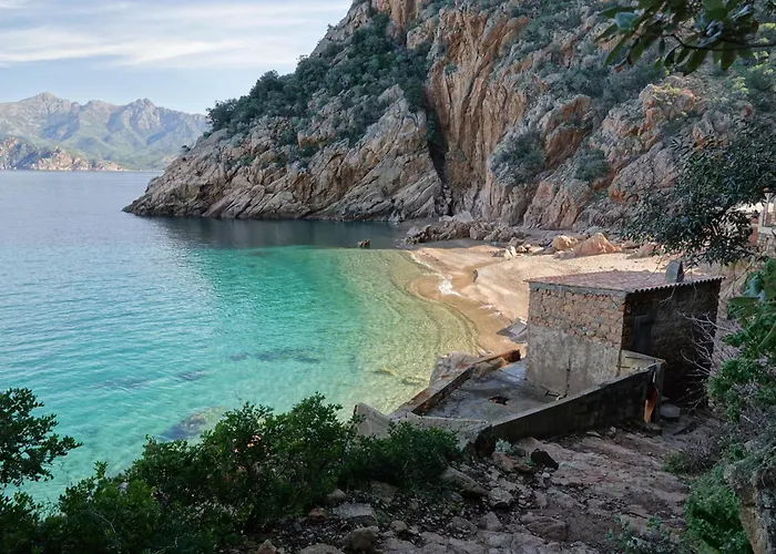 Superbe 3 Avec Grande Terrasse